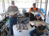 (04/18/2018) - Nice Striped Bass